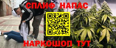 марихуана Будённовск