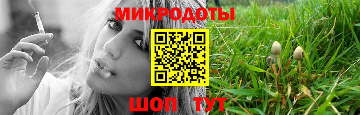 Галлюциногенные грибы GOLDEN TEACHER  Галлюциногенные грибы прущие грибы  Вход с VPN  Усть-Джегута 